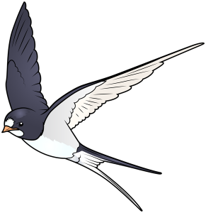 Swallow PNG-67347